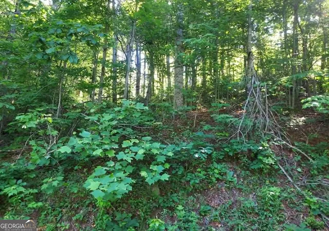 2nd image of 0 Driver Lane, Sky Valley, GA 30537 | MLS# 10777365