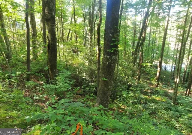 3rd image of 0 Driver Lane, Sky Valley, GA 30537 | MLS# 10777365