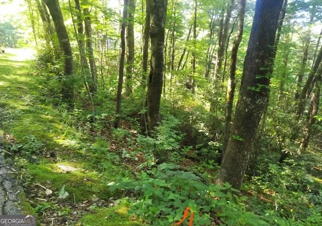 4th image of 0 Driver Lane, Sky Valley, GA 30537 | MLS# 10777365