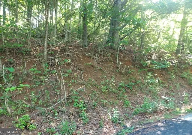 5th image of 0 Driver Lane, Sky Valley, GA 30537 | MLS# 10777365