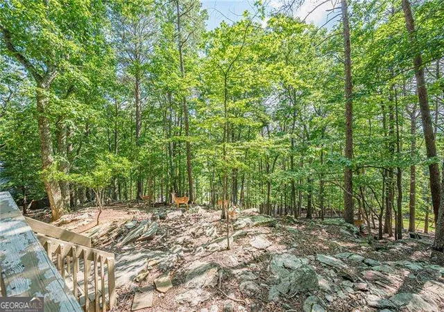 39th image of 834 Lake Arrowhead Dr, Waleska, GA 30183 | MLS# 10784482