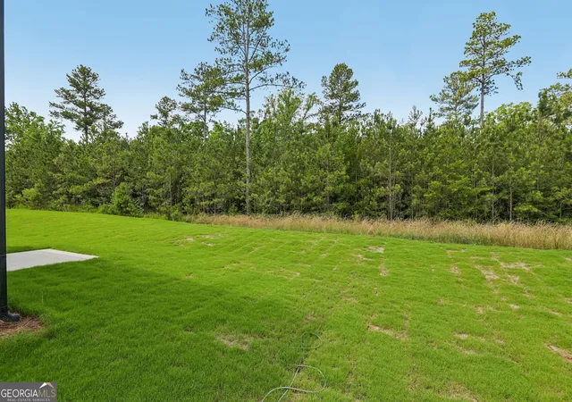 54th image of 24 Rise Rd, Adairsville, GA 30103 | MLS# 10723603