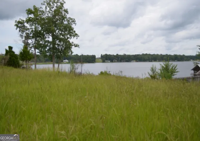 2nd image of 145 Lakeview Dr S, Ivey, GA 31031 | MLS# 10815777