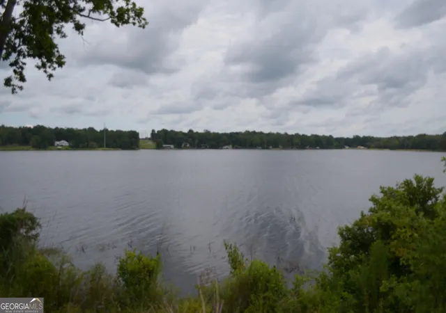 Photo 3 of Land for sale at 145 Lakeview Dr S, Ivey, GA 31031 | MLS# 10815777 | Listing updated on 2026-09-24