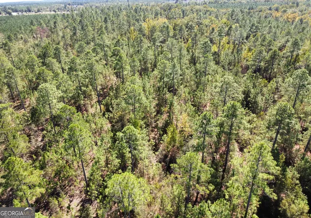 2nd image of 843 Daniel Mimbs Rd, East Dublin, GA 31027 | MLS# 10796656