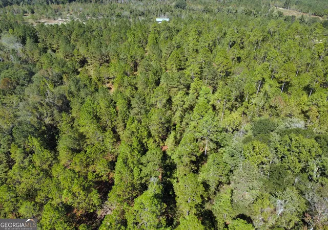 3rd image of 843 Daniel Mimbs Rd, East Dublin, GA 31027 | MLS# 10796656