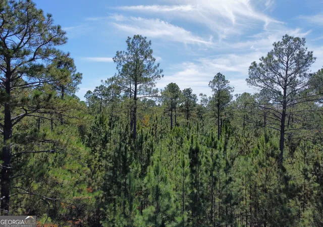 4th image of 843 Daniel Mimbs Rd, East Dublin, GA 31027 | MLS# 10796656