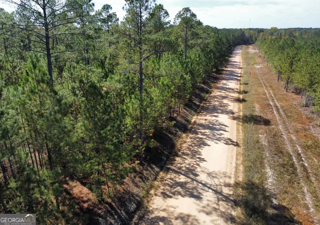 5th image of 843 Daniel Mimbs Rd, East Dublin, GA 31027 | MLS# 10796656