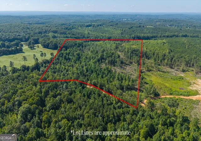 1st image of 0 County Road 404 #TRACT 1, Heflin, AL 36264 | MLS# 10822014