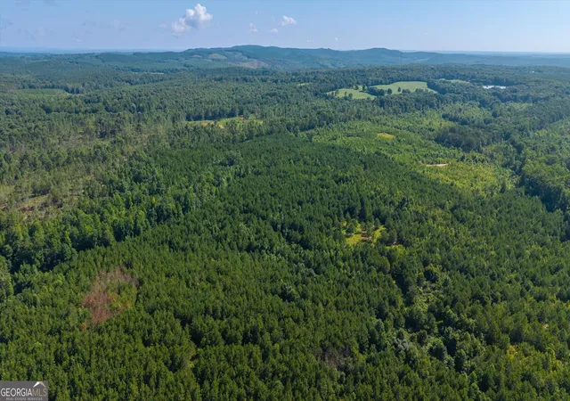 Photo 3 of Sale Pending at 0 County Road 404 #TRACT 1, Heflin, AL 36264 | MLS# 10822014 | Listing updated on 2026-08-24