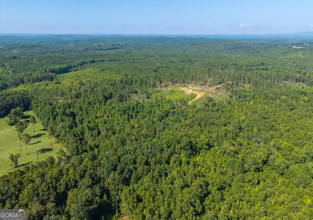 Photo 4 of Sale Pending at 0 County Road 404 #TRACT 1, Heflin, AL 36264 | MLS# 10822014 | Listing updated on 2026-08-24