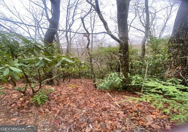 Photo 3 of Land for sale at Lot 17 Ridgepole Dr, Sky Valley, GA 30537 | MLS# 10427984 | Listing updated on 2026-09-04