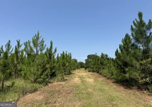 Photo 3 of Land for sale at 002 Barge Rd, Lumpkin, GA 31815 | MLS# 10807338 | Listing updated on 2026-07-30