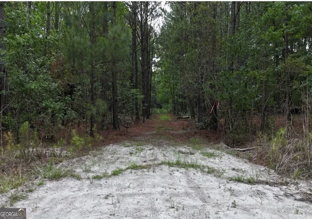 Homes for sale in Sylvania, GA | 0 Duck Pond Rd, Sylvania, GA 30467 | MLS# 10771568