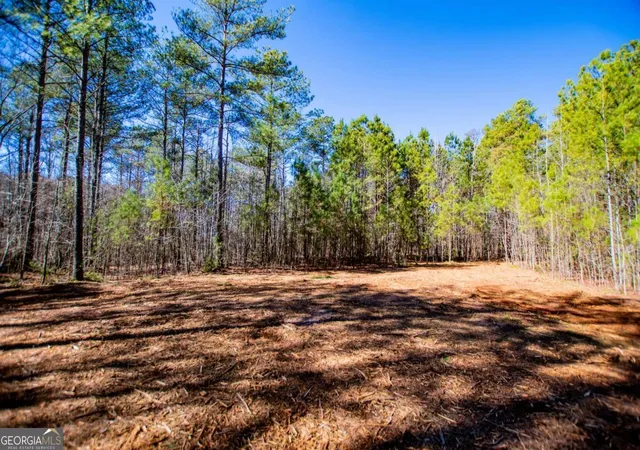 Homes for sale in Bowdon, GA | 0 Hwy 166 E, Bowdon, GA 30108 | MLS# 10700336