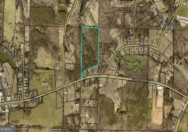 Homes for sale in Bowdon, GA | 0 Hwy 166 E, Bowdon, GA 30108 | MLS# 10700336
