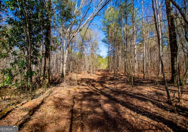 Homes for sale in Bowdon, GA | 0 Hwy 166 E, Bowdon, GA 30108 | MLS# 10700336
