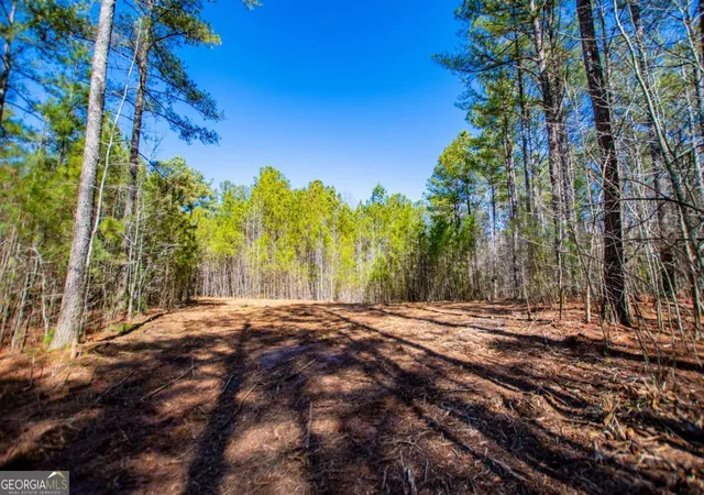 Homes for sale in Bowdon, GA | 0 Hwy 166 E, Bowdon, GA 30108 | MLS# 10700336
