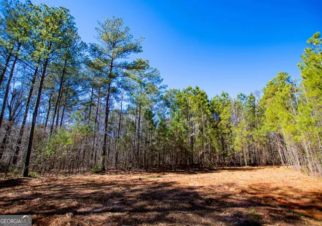 Homes for sale in Bowdon, GA | 0 Hwy 166 E, Bowdon, GA 30108 | MLS# 10700336