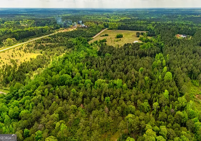 16th image of 423 Coweta Heard Rd, Hogansville, GA 30230 | MLS# 10499307