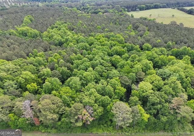 Homes for sale in Gay, GA | 14+ Acres Hwy 85, Gay, GA 30218 | MLS# 10768031