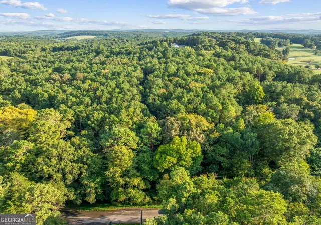 8th image of 00 Reeve Rd, Calhoun, GA 30701 | MLS# 10825945
