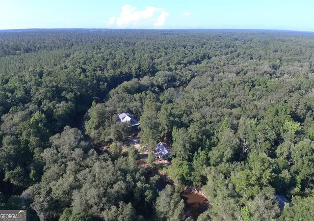 39th image of 279 1c Lewis Ln, Cairo, GA 39828 | MLS# 10760291