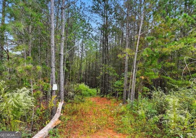 2nd image of 0 Old Pleasant Valley Rd, Talking Rock, GA 30175 | MLS# 10733470