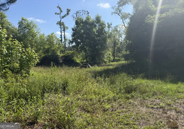 Homes for sale in Soperton, GA | 0 N Third North St, Soperton, GA 30457 | MLS# 10768579