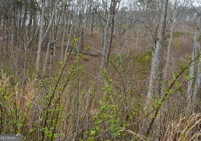 Photo 3 of Land for sale at Lot 286 Oak Park Dr, Talking Rock, GA 30175 | MLS# 10719117 | Listing updated on 2026-09-18
