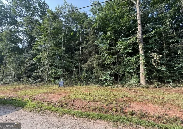 4th image of Lot 92 Rue Fieur De Lis, Lavonia, GA 30553 | MLS# 10820116