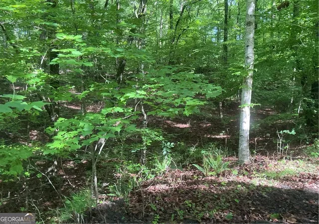 5th image of 0 Mountain Brook Rd, Dawsonville, GA 30534 | MLS# 10795400