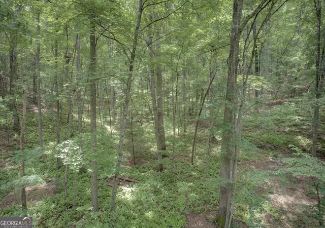 Photo 2 of Land for sale at 201 Jaguar Ln, Blue Ridge, GA 30513 | MLS# 10543490 | Listing updated on 2026-08-12