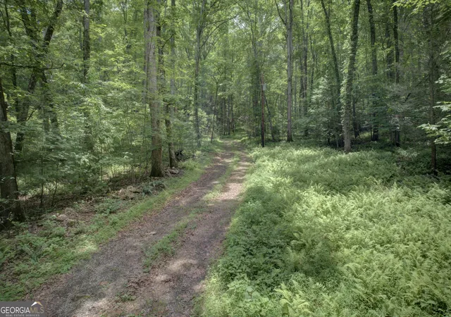 Photo 3 of Land for sale at 201 Jaguar Ln, Blue Ridge, GA 30513 | MLS# 10543490 | Listing updated on 2026-08-12