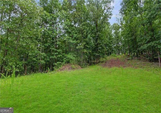 Photo 2 of Land for sale at 1845 Tibbitts Rd, Dallas, GA 30132 | MLS# 10818184 | Listing updated on 2026-08-28