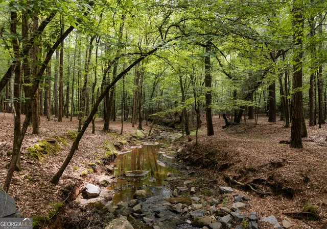 53rd image of 411 Mayfield Rd, Forsyth, GA 31029 | MLS# 10793684