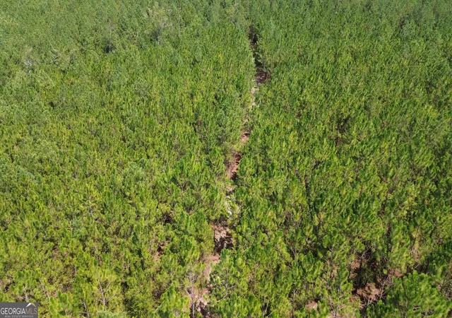 Photo 3 of Sale Pending at Tract 1 Penny Morris Rd, Baxley, GA 31513 | MLS# 10827892 | Listing updated on 2026-10-02