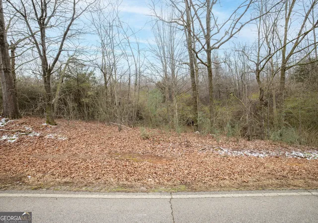 2nd image of 740 Broad River Church Rd Tract C, Eastanollee, GA 30538 | MLS# 10816504