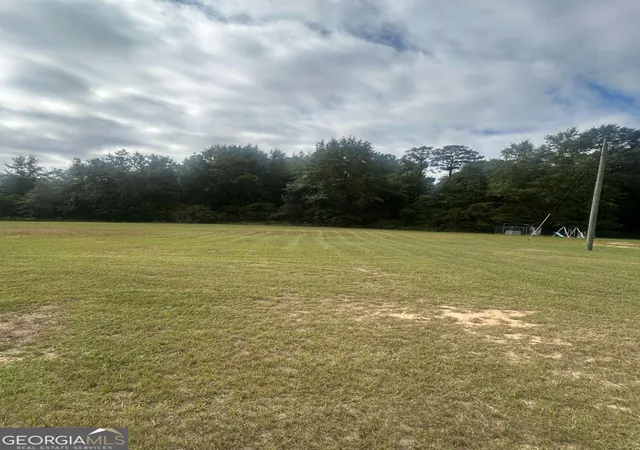 Homes for sale in Buena Vista, GA | 114 Mccarthy Rd, Buena Vista, GA 31803 | MLS# 10777926