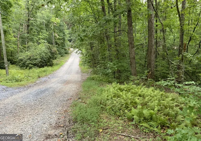 1st image of 0 Sky Lake And Wheeler Ridge Rd, Sautee Nacoochee, GA 30571 | MLS# 10824865