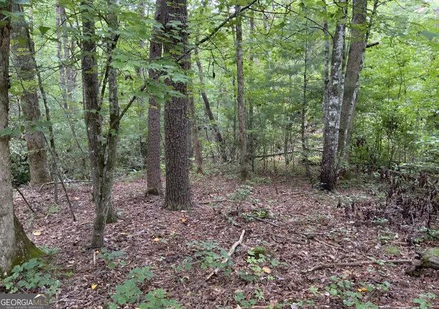2nd image of 0 Sky Lake And Wheeler Ridge Rd, Sautee Nacoochee, GA 30571 | MLS# 10824865