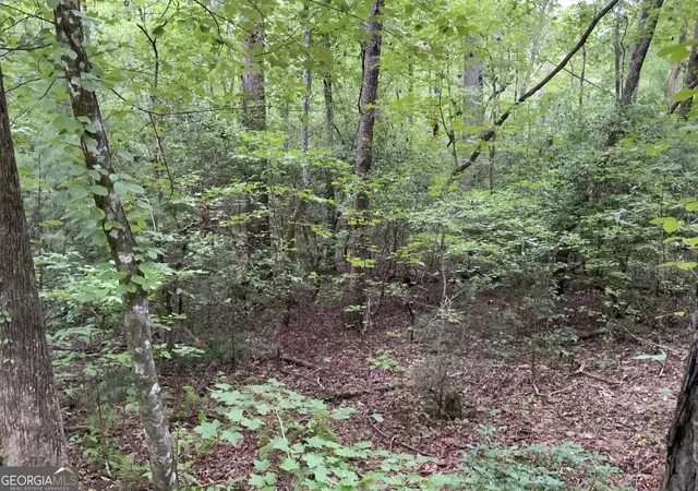 Photo 3 of Land for sale at 0 Sky Lake And Wheeler Ridge Rd, Sautee Nacoochee, GA 30571 | MLS# 10824865 | Listing updated on 2026-08-27