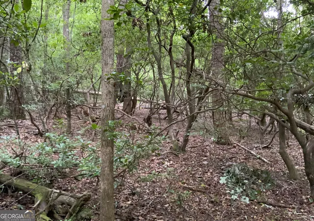 Photo 3 of Land for sale at 0 Sky Lake And Wheeler Ridge Rd, Sautee Nacoochee, GA 30571 | MLS# 10824865 | Listing updated on 2026-08-27