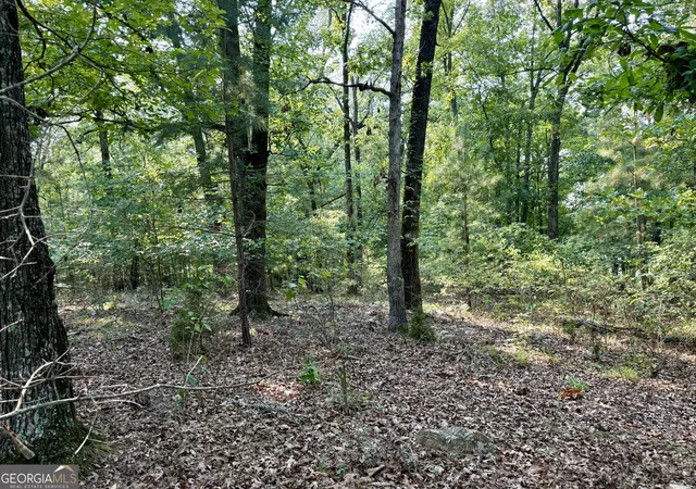 Photo 3 of Land for sale at 101 Stanton Dr, Eatonton, GA 31024 | MLS# 10815418 | Listing updated on 2026-08-13