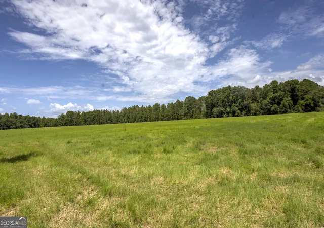 22nd image of 0 Wallace Parker Dr, Claxton, GA 30417 | MLS# 10817978
