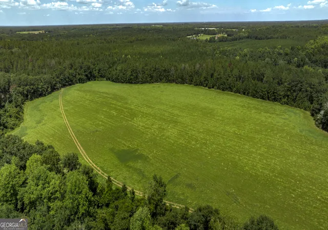 2nd image of 0 Wallace Parker Dr, Claxton, GA 30417 | MLS# 10817978