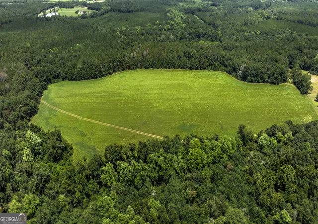 3rd image of 0 Wallace Parker Dr, Claxton, GA 30417 | MLS# 10817978