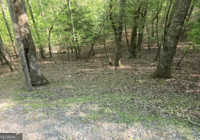 Photo 1 of Land for sale at 0 Hart Ct, Ellijay, GA 30540 | MLS# 10775683 | Listing updated on 2026-06-15