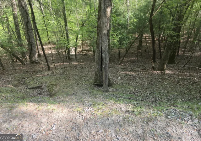 Photo 1 of Land for sale at 0 Hart Ct, Ellijay, GA 30540 | MLS# 10775683 | Listing updated on 2026-06-15