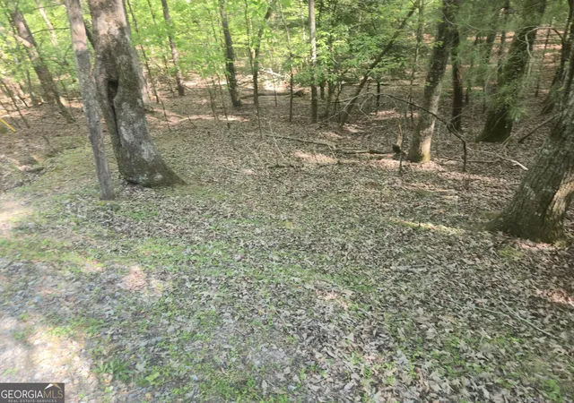 Photo 2 of Land for sale at 0 Hart Ct, Ellijay, GA 30540 | MLS# 10775683 | Listing updated on 2026-06-15